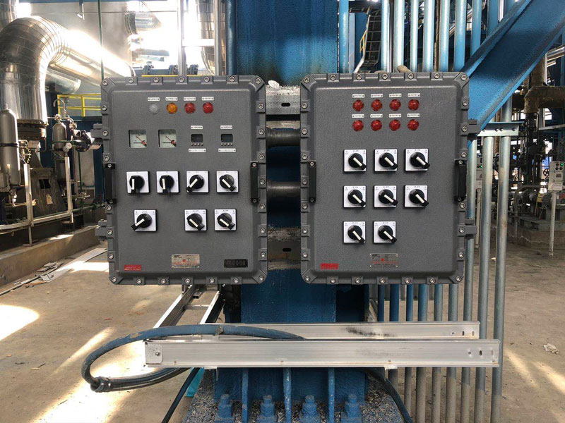 Explosion-proof Control Box Application Case
