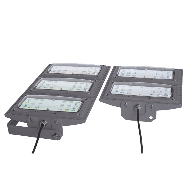 Explosion-proof LED Floodlight MAMS01