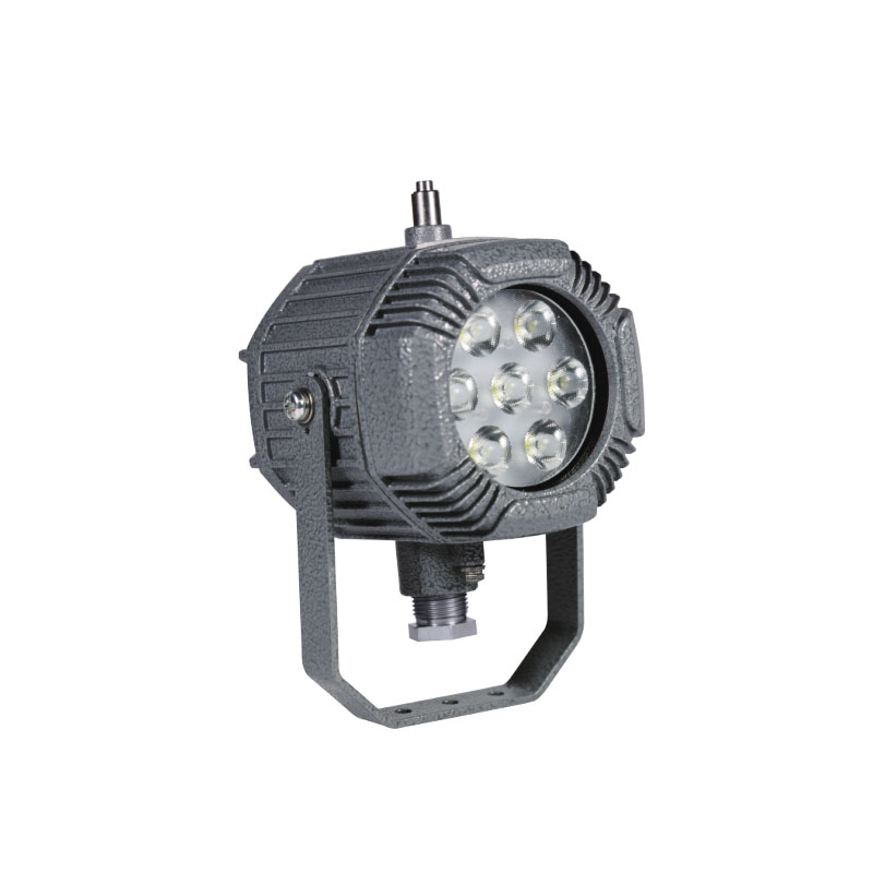 Explosion-proof Tank and Vessel Inspection LED Light Fittings MAML-03T